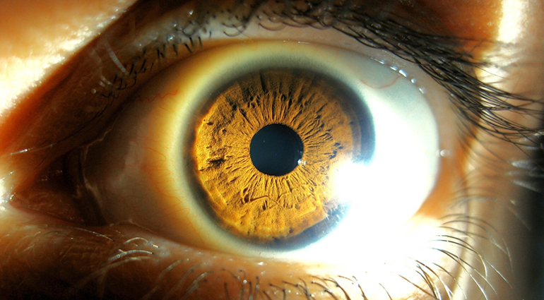 глаз близко