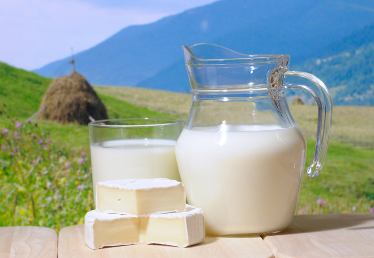 солоко и сыр