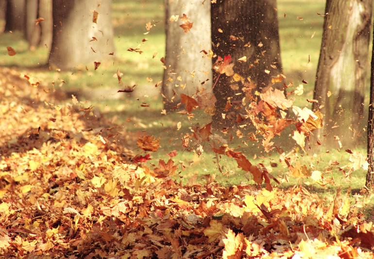 осенний ветер