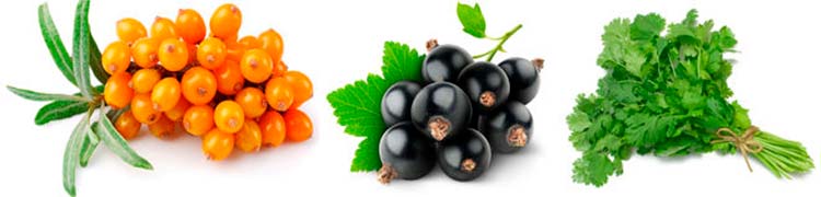 экстракты петрушки, черники