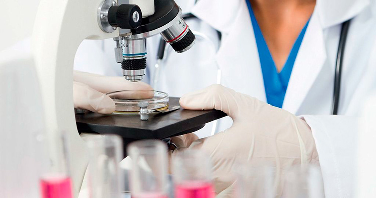 выяснить типы микроорганизмов