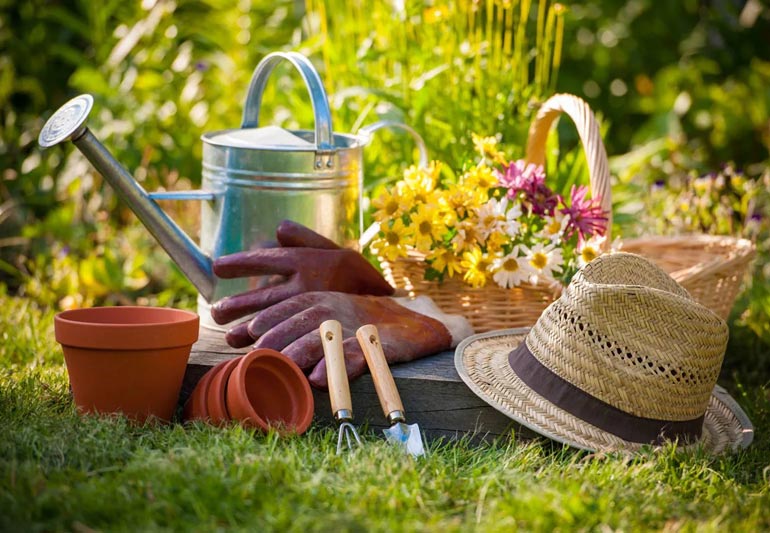 инвентарь для дачи