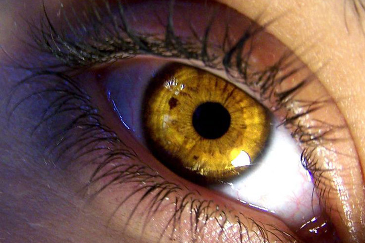 глаз близко