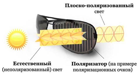 устройство поляризационных очков