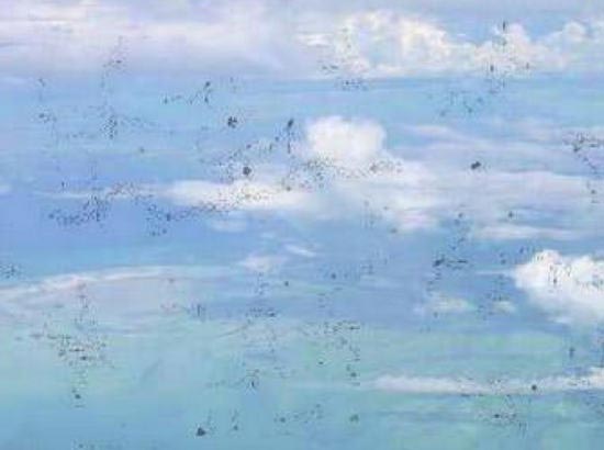 мушки перед глазами