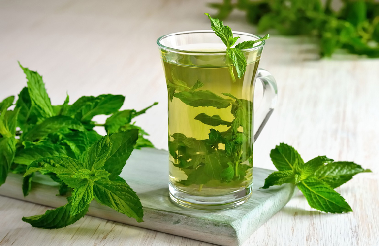 мятный настой и мята