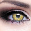 Линзы Contact day 30 colors Advance 2 шт.